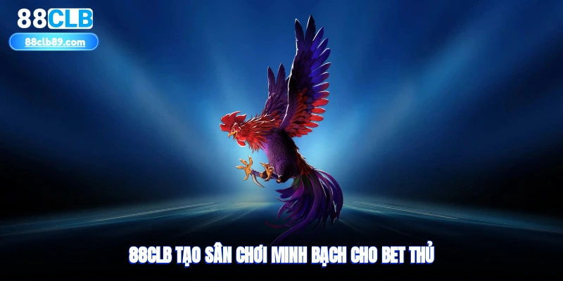 88clb tạo sân chơi minh bạch cho bet thủ