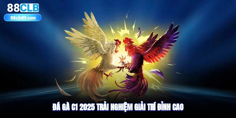 Đá gà c1 2025 – trải nghiệm giải trí đỉnh cao