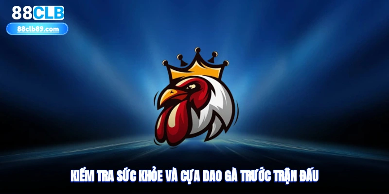 Kiểm tra sức khỏe và cựa dao gà trước trận đấu
