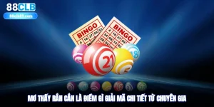 Mơ Thấy Rắn Cắn Là Điềm Gì? Giải Mã Chi Tiết Từ Chuyên Gia